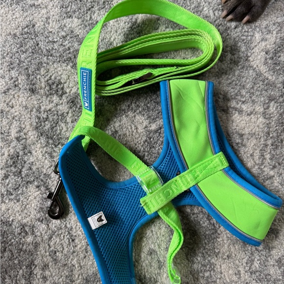 Frenchie Bulldog Neon Green Dog Harness and Leash Set - Picture 2 of 2